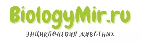 BiologyMir.ru — энциклопедия животных