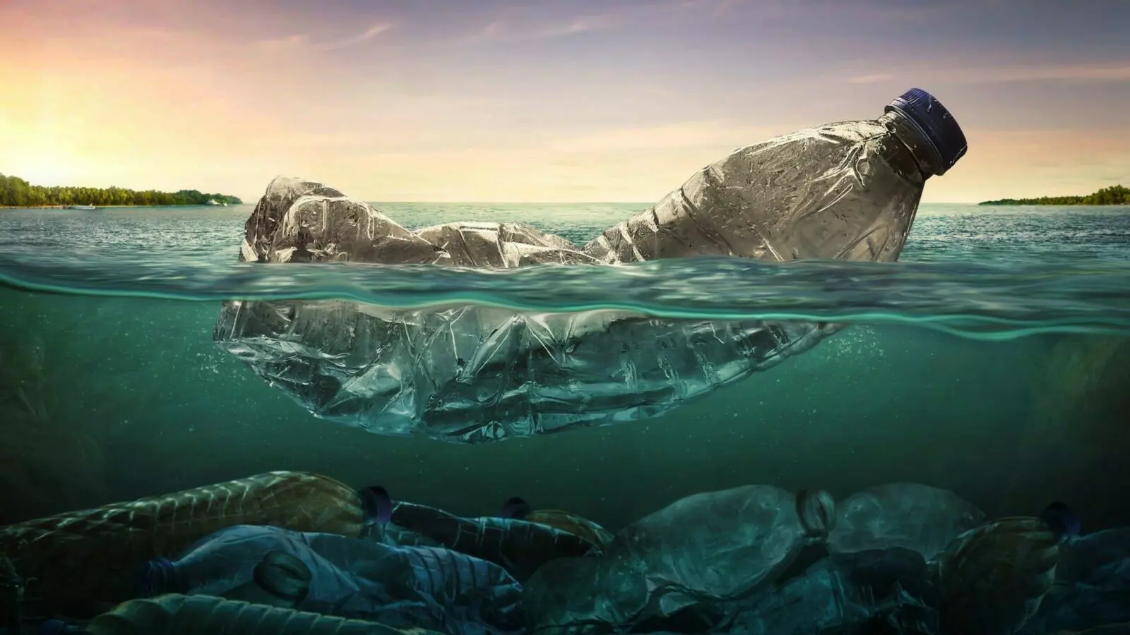 Экологические проблемы загрязнения мирового океана кратко